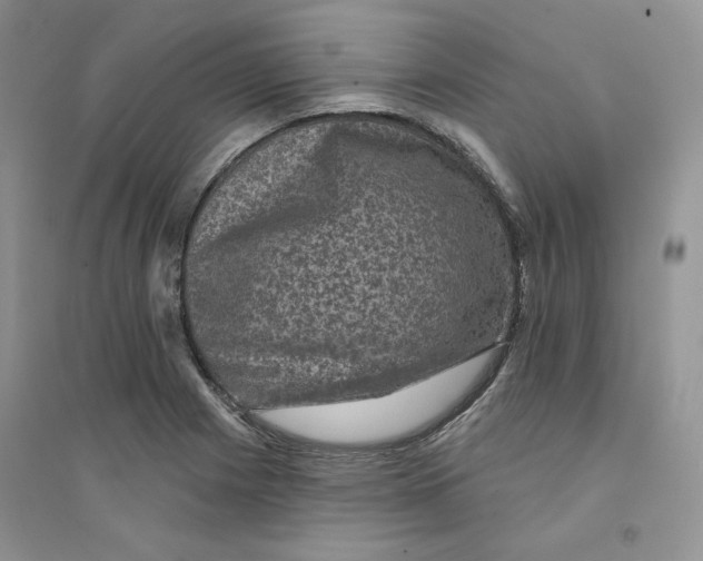 X0000094441225200711291628