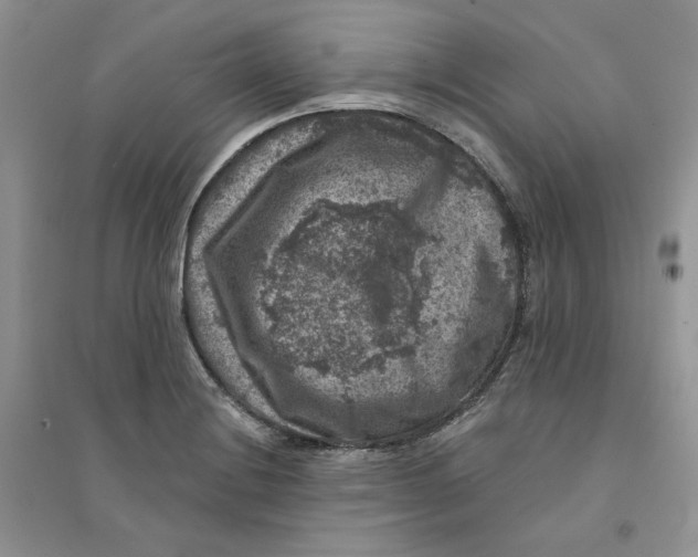 X0000094441228200711291628