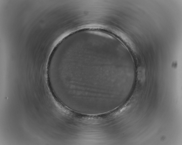 X0000094441229200711291628