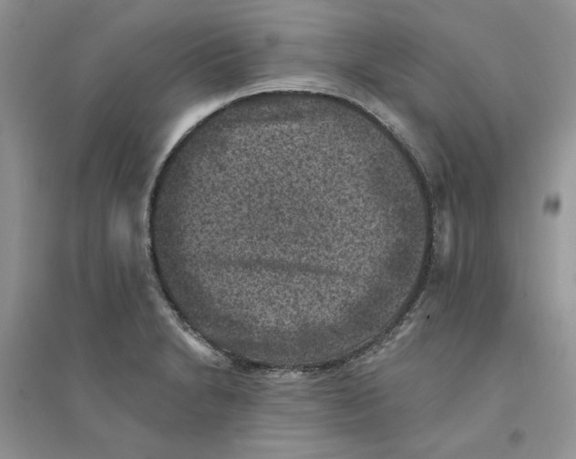 X0000094441230200711291628