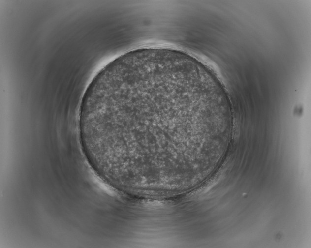 X0000094441231200711291628