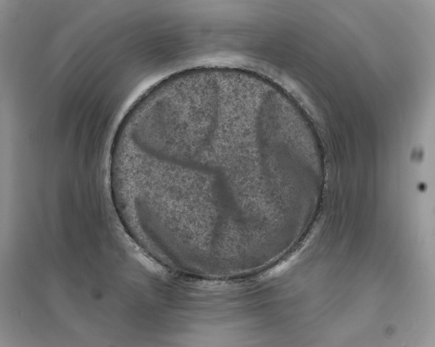 X0000094441232200711291628