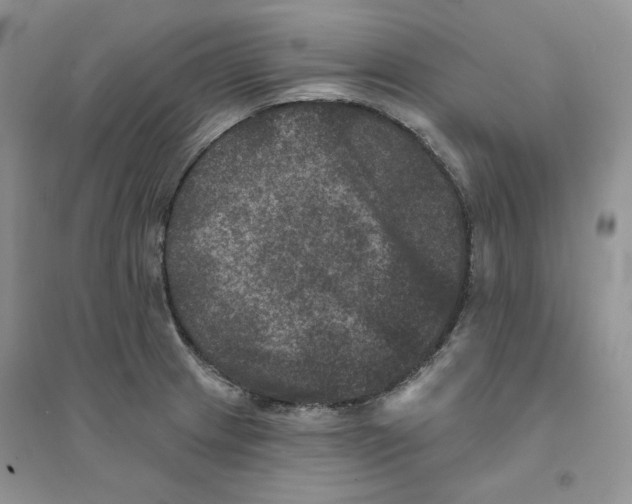 X0000094441233200711291628