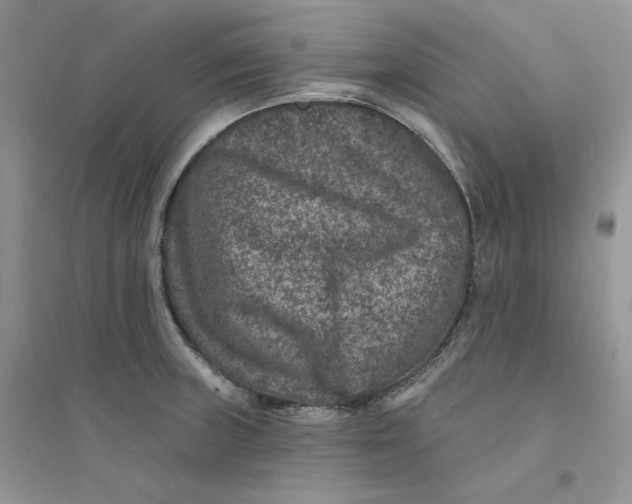 X0000094441235200711291628