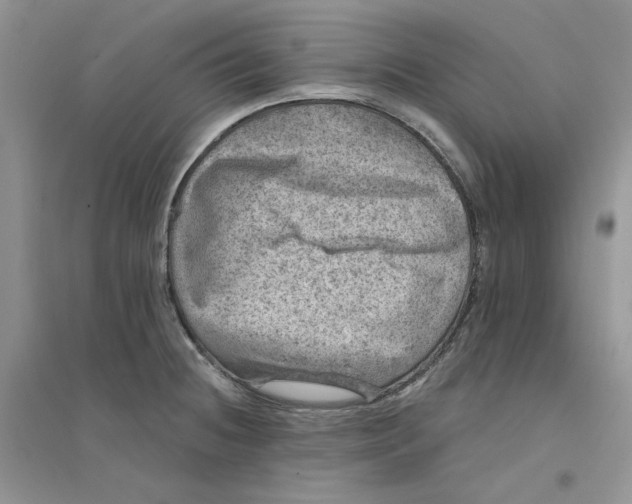 X0000094441236200711291628