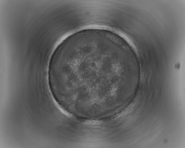 X0000094441237200711291628