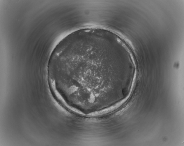 X0000094441239200711291628