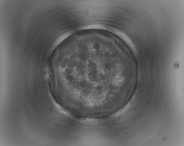 X0000094441241200711291628