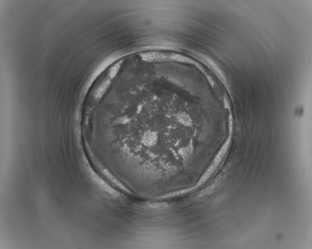 X0000094441243200711291628