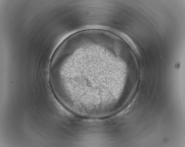 X0000094441244200711291628