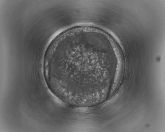 X0000094441245200711291628