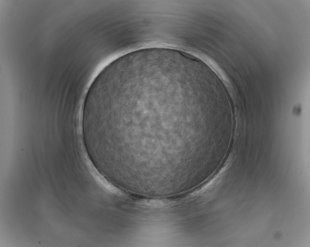 X0000094441246200711291628