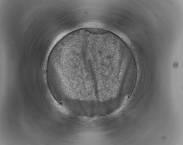 X0000094441248200711291628