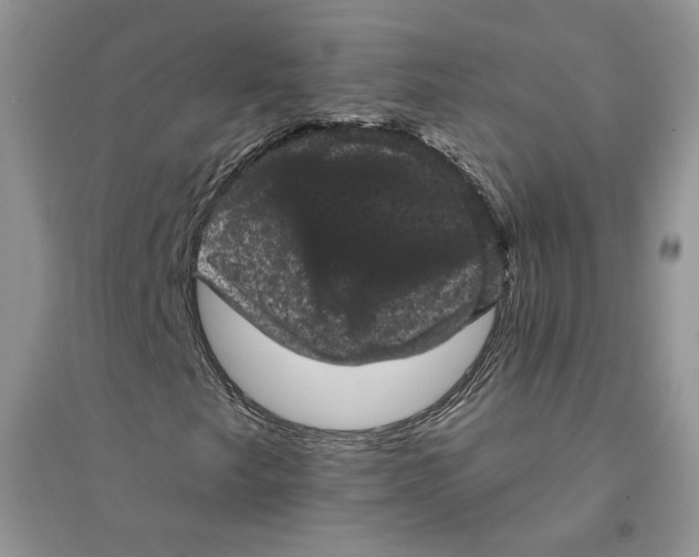 X0000094441249200711291628