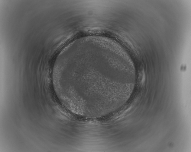 X0000094441250200711291628