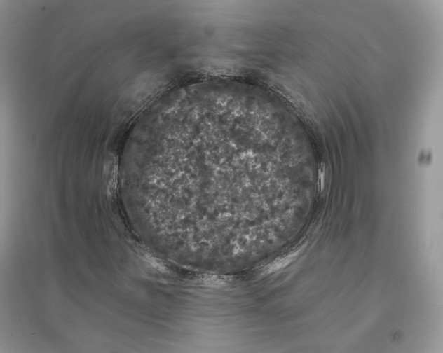 X0000094441251200711291628