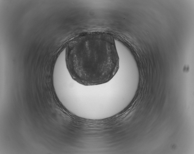 X0000094441252200711291628