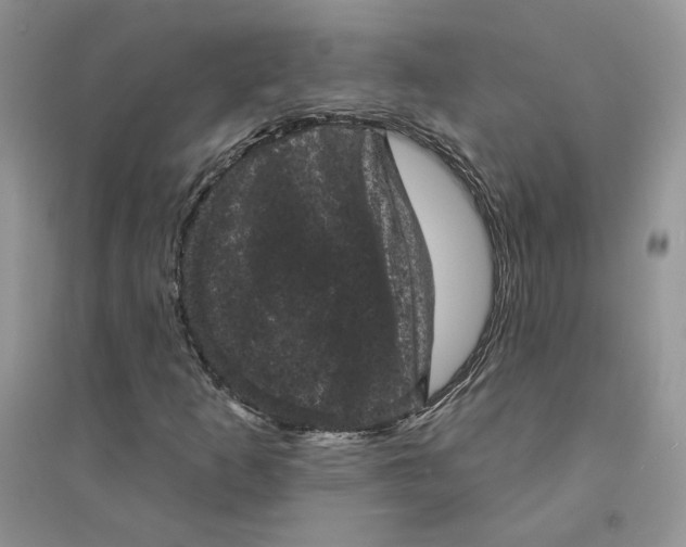 X0000094441253200711291628