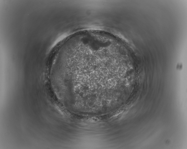 X0000094441255200711291628