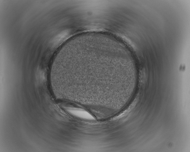 X0000094441257200711291628