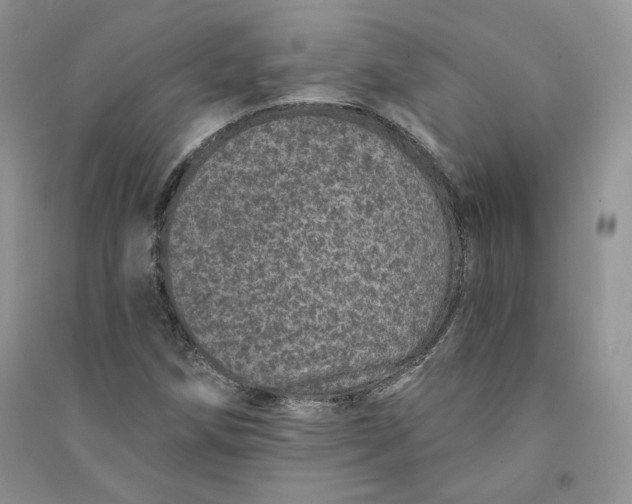 X0000094441258200711291628