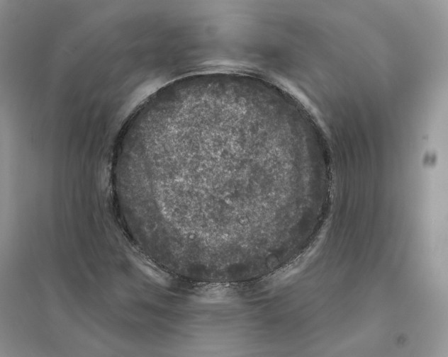 X0000094441259200711291627