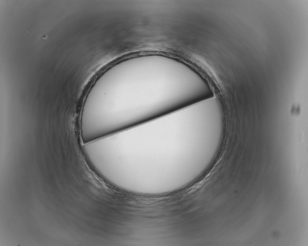 X0000094441260200711291627