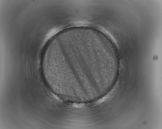 X0000094441261200711291627