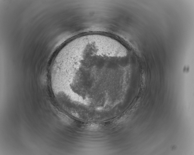 X0000094441266200711291627