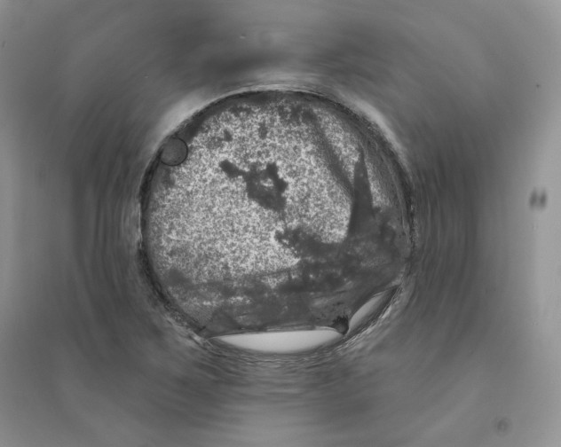 X0000094441267200711291627