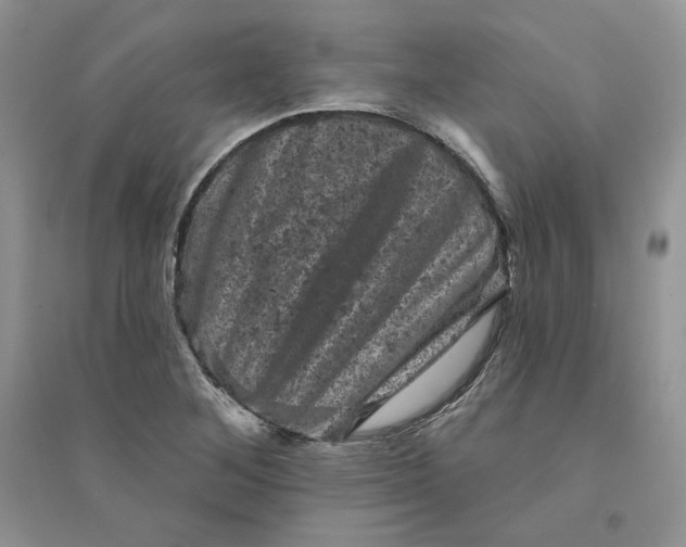 X0000094441268200711291627