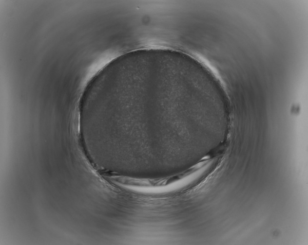 X0000094441269200711291627