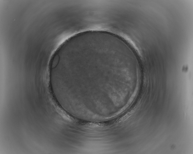 X0000094441270200711291627