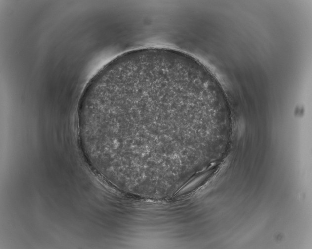 X0000094441271200711291627