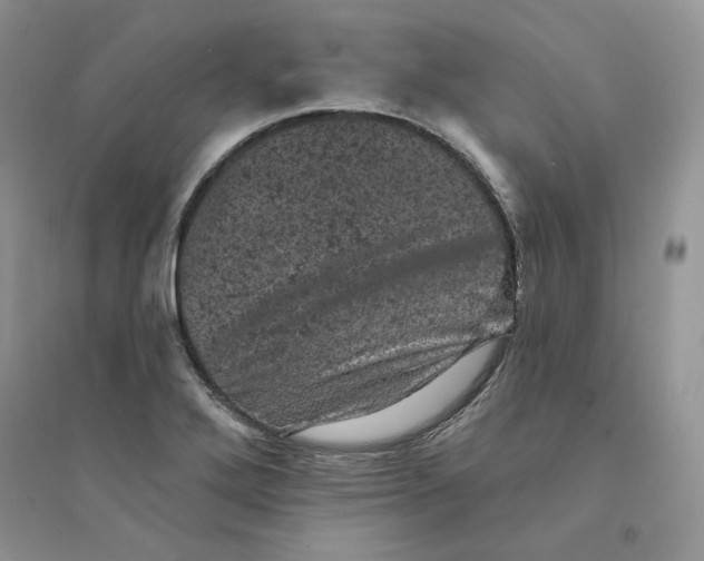 X0000094441272200711291627