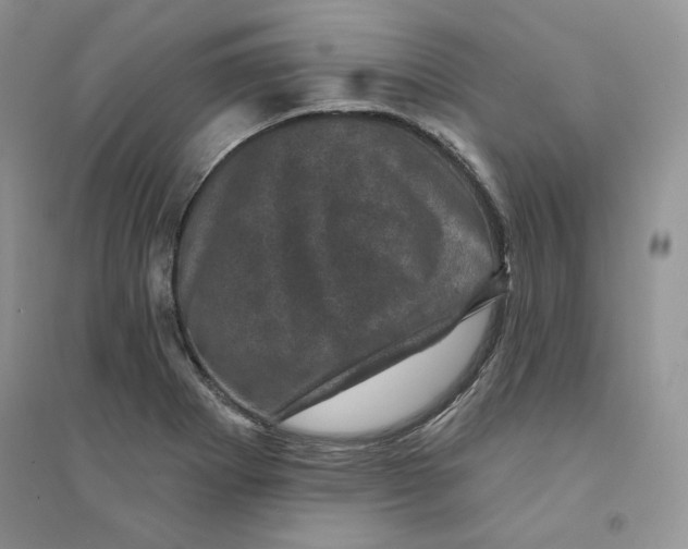 X0000094441273200711291627