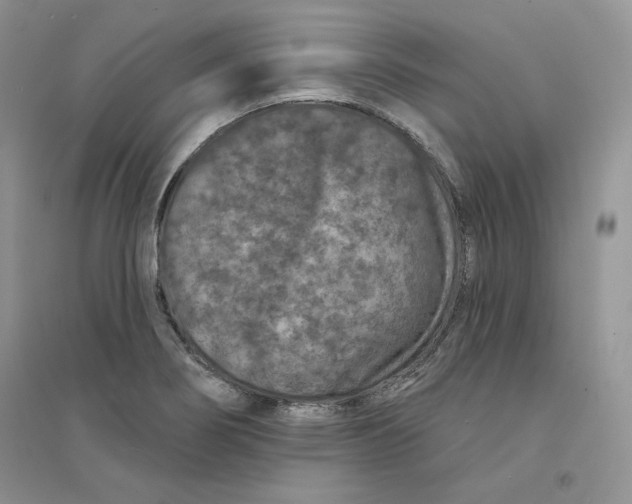 X0000094441274200711291627