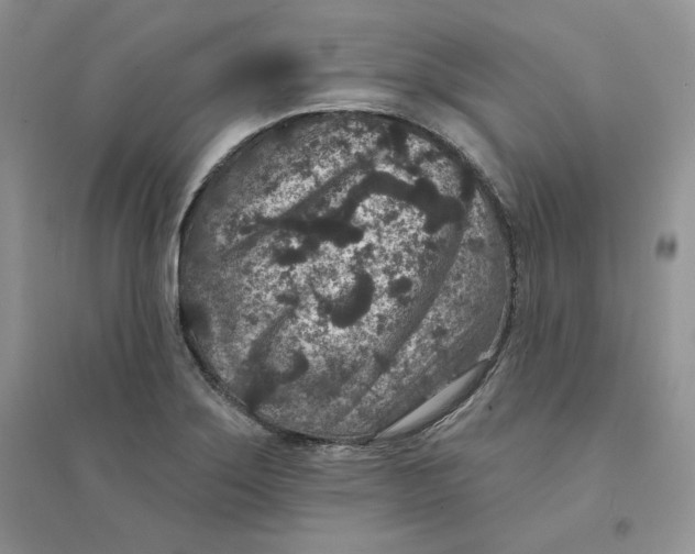 X0000094441275200711291627