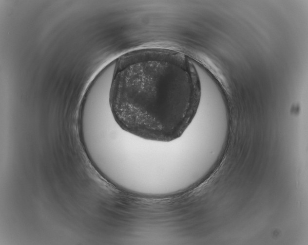 X0000094441276200711291627