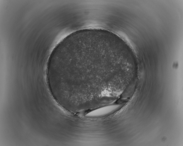 X0000094441277200711291627