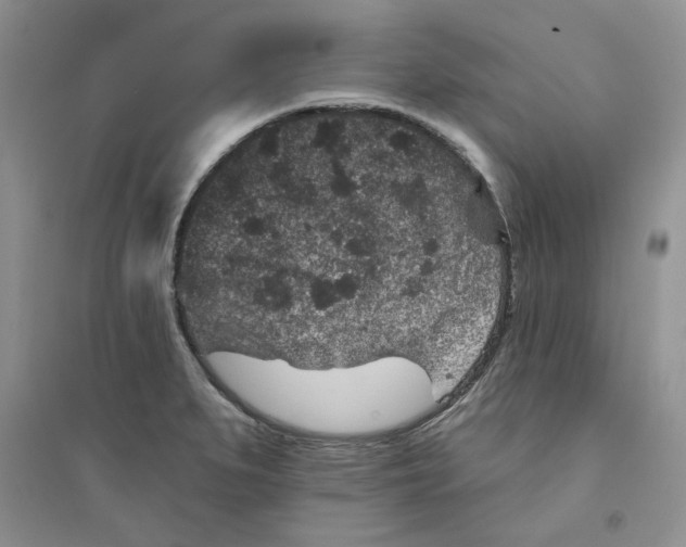 X0000094441279200711291627