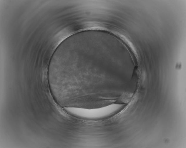 X0000094441281200711291627