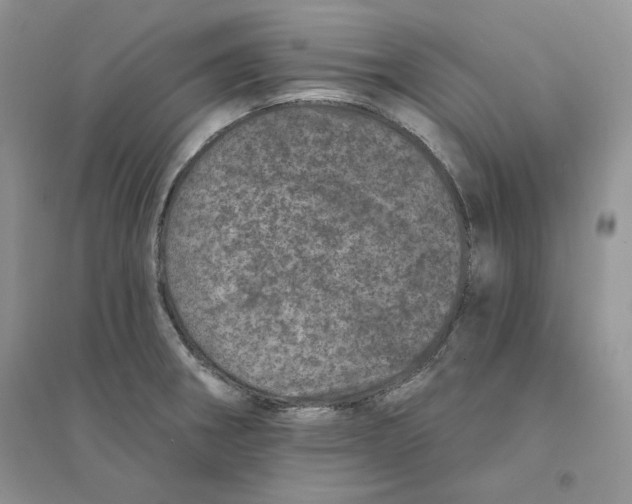 X0000094441282200711291627