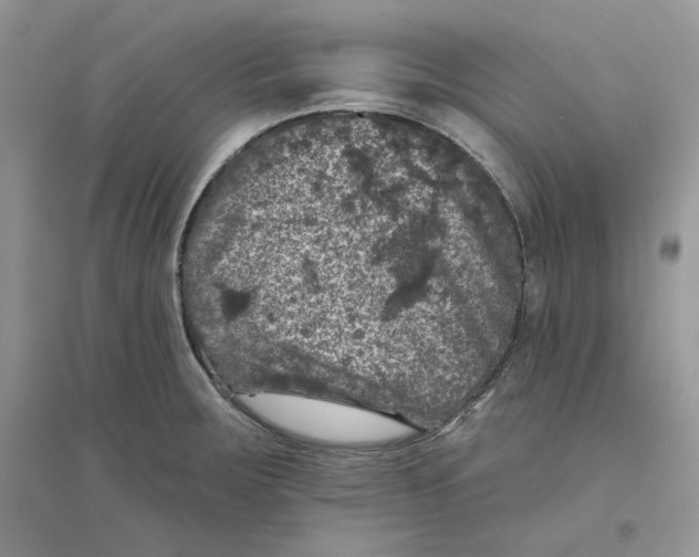 X0000094441283200711291627