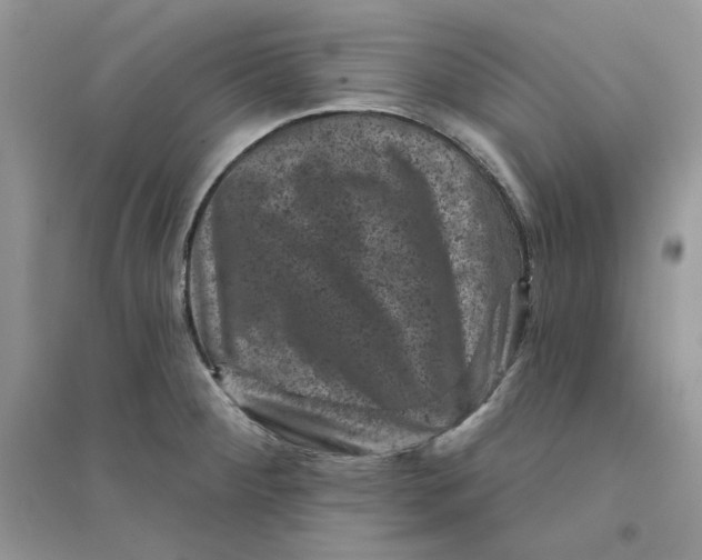 X0000094441284200711291627