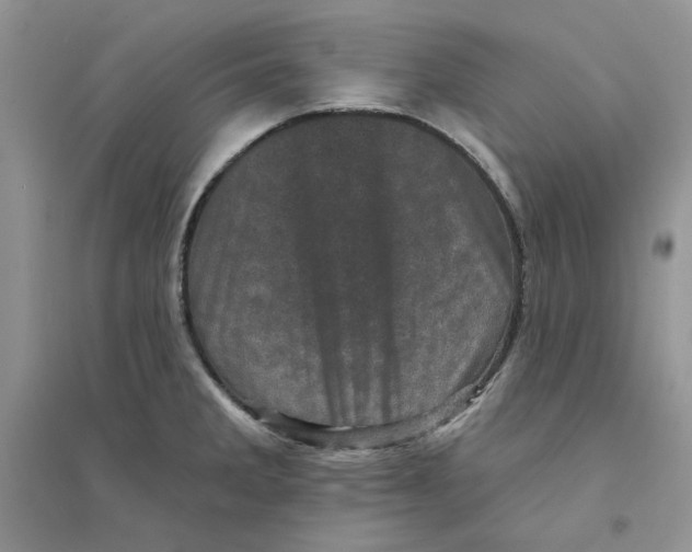 X0000094441285200711291627