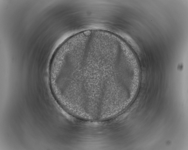 X0000094441286200711291627