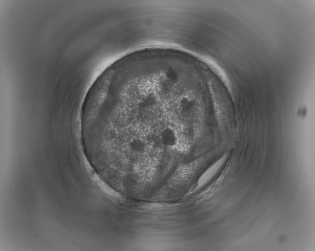 X0000094441287200711291627