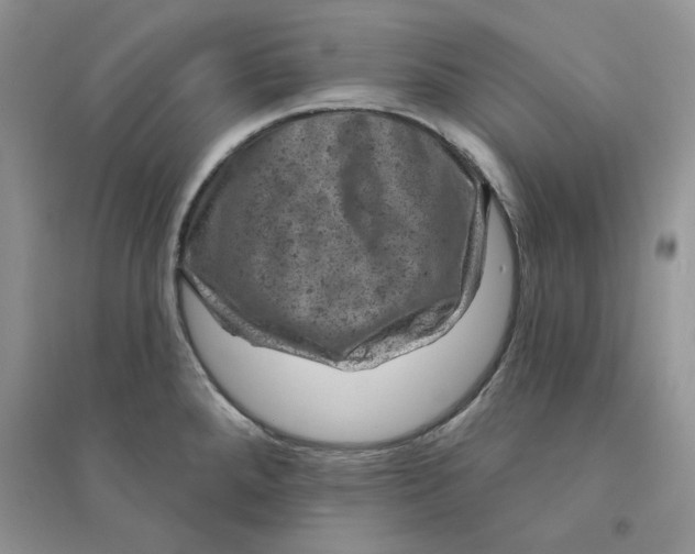 X0000094441288200711291627