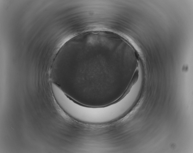 X0000094441289200711291627